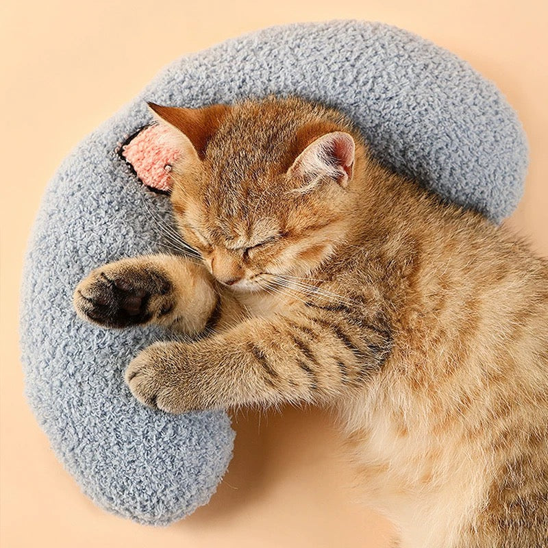Cat Beds & Blankets
