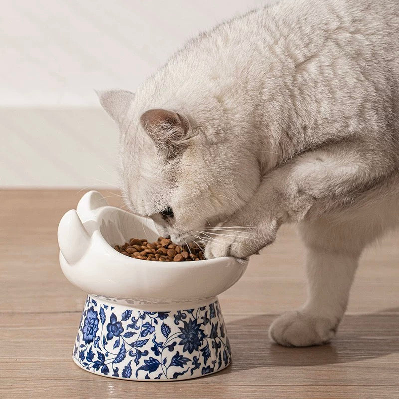 Cat Bowls & Feeders